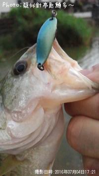 �֥�å��Х�