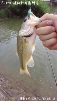 �֥�å��Х�