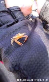 ¥ï¥¿¥ê¥¬¥Ë