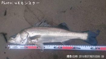 �����Х�