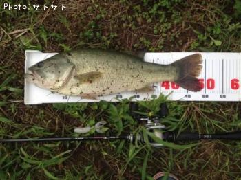 �֥�å��Х�