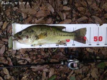 ¥Ö¥é¥Ã¥¯¥Ð¥¹