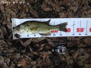 ¥Ö¥é¥Ã¥¯¥Ð¥¹