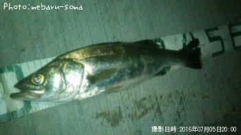 �����Х�