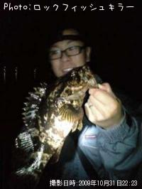 ¥Ù¥Ã¥³¥¦¥½¥¤