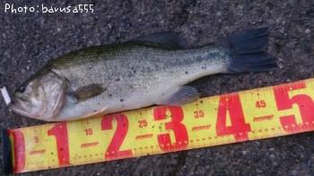 �֥�å��Х�