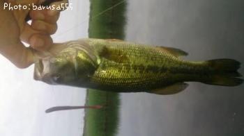 �֥�å��Х�