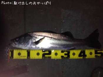 �����Х�