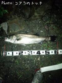 �����Х�