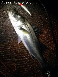 �����Х�