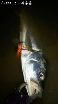 �����Х�