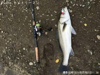 �����Х�