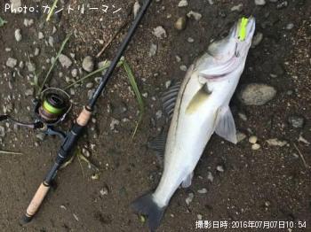 �����Х�