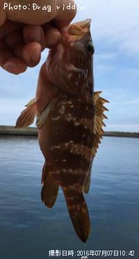 �����ϥ�