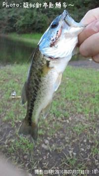 �֥�å��Х�