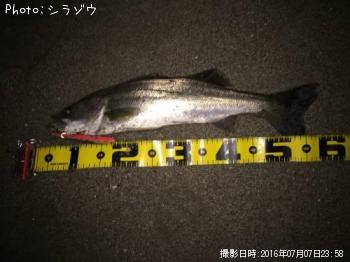 �����Х�