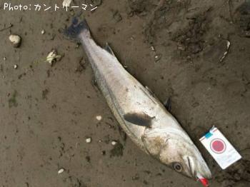 �����Х�