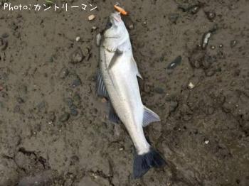 �����Х�