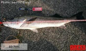 �����Х�