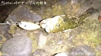 �֥�å��Х�