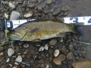 �֥�å��Х�