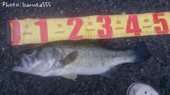 ¥Ö¥é¥Ã¥¯¥Ð¥¹