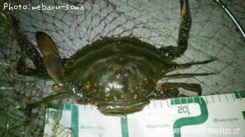 ¥ï¥¿¥ê¥¬¥Ë