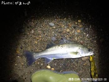 �����Х�