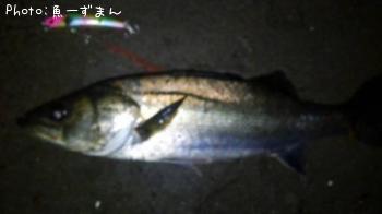 �����Х�