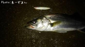 �����Х�