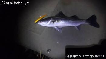 �����Х�