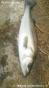 �����Х�