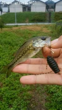 �֥�å��Х�