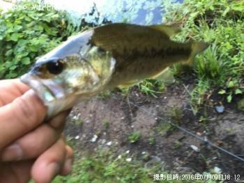 ¥Ö¥é¥Ã¥¯¥Ð¥¹