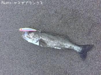 �����Х�