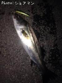 �����Х�