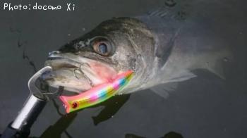 �����Х�