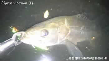 �����Х�