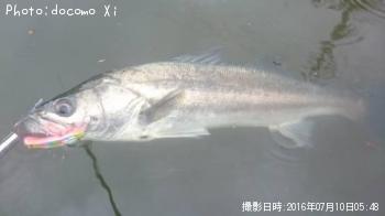 �����Х�