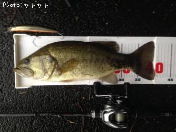 �֥�å��Х�