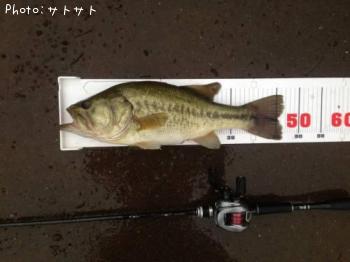 �֥�å��Х�