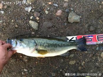 �֥�å��Х�