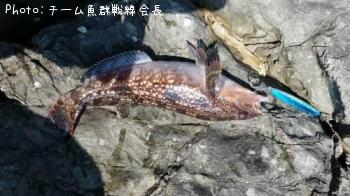 �����ʥ�