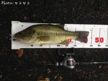 �֥�å��Х�