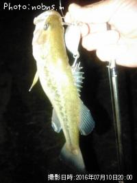 ¥Ö¥é¥Ã¥¯¥Ð¥¹