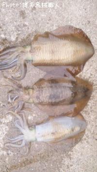 �����ꥤ��