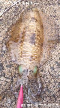 �����ꥤ��