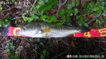 �֥�å��Х�