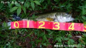 �֥�å��Х�