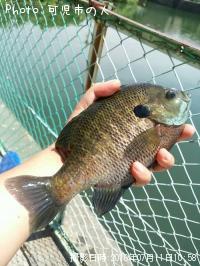 �֥롼����